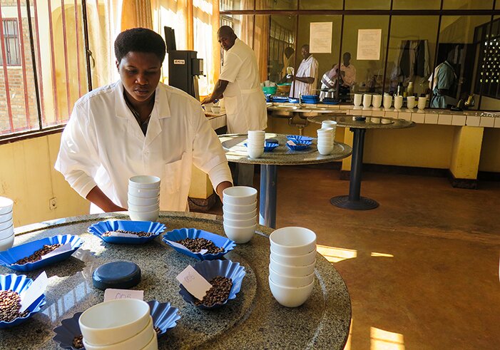 Single Origin | Burundi Yandaro