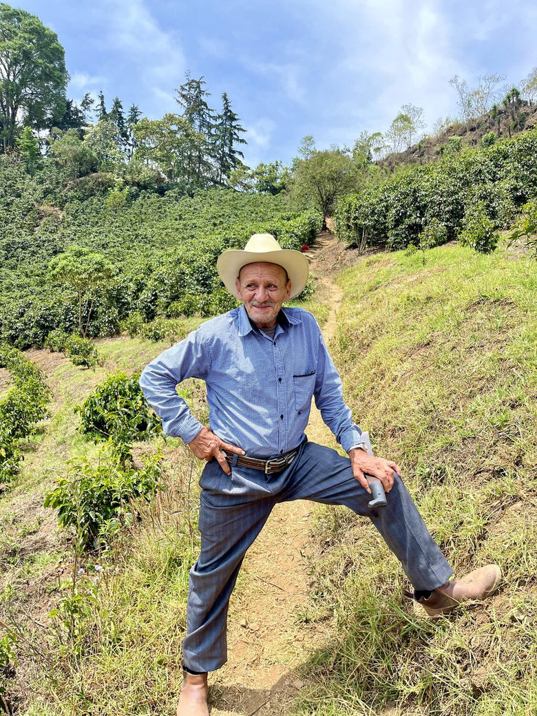 Single Origin | Guatemala Francisco Martínez